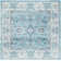 Delmer Performance Oriental Rug