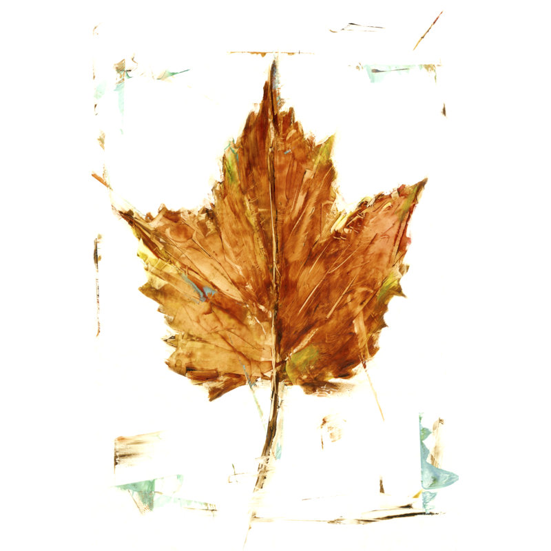 Autumn Leaf Study I by Ethan Harper - Painting, Wrapped Canvas, 76cm H x 51cm W