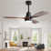 48" Nicola 3 - Blade Modern Ceiling Fan with Remote Control and Light Kit
