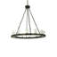 36 - Light Chandelier