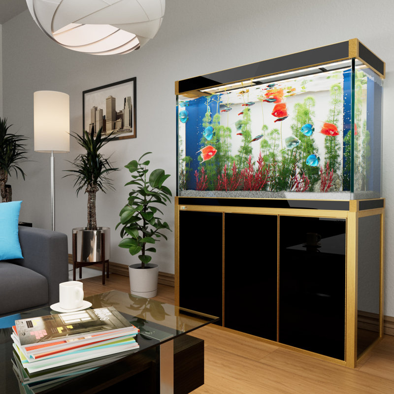 Réservoir d'aquarium 50 gallons, Noir / or, 135 gallons (H 51 po x l 14 po x P 24 po)