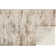 Roby Abstract Indoor Rug