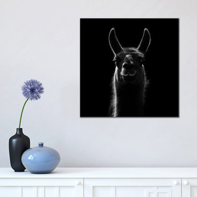 Llama in Black and White 1 Piece Wrapped Canvas Wall Art