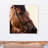 " Horse Close Up "
