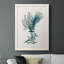 Charlize Antique Coastal Coral VI, reproduction d'art sur toile encadrée-88399830-88399824