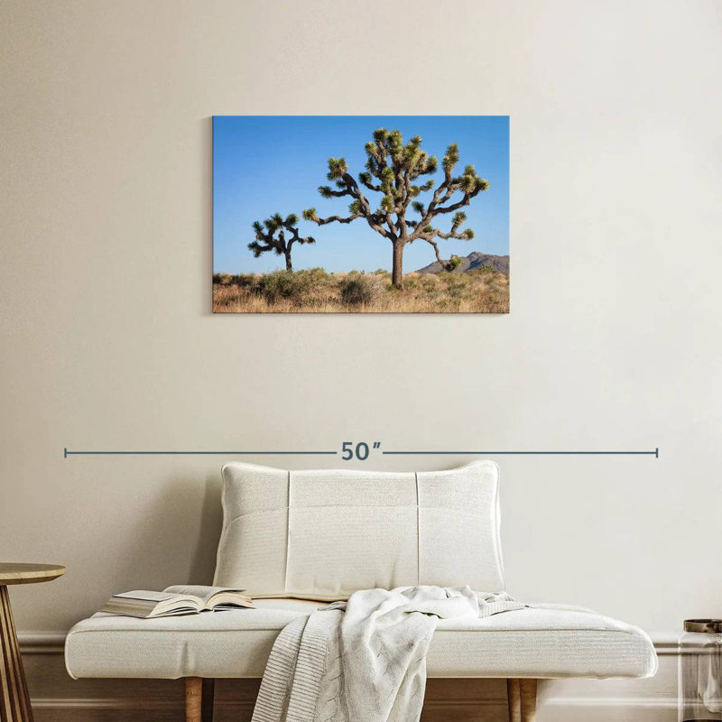 Parc national Harnek Joshua Tree, H 20 po x l 30 po