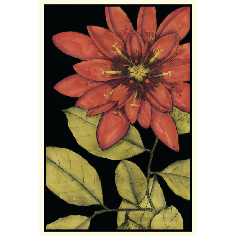 Radiance IV by Jennifer Goldberger - Wrapped Canvas Art Prints, 122cm H x 81cm W x 3.8cm D