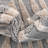 Courtneyann Animal Print Indoor Rug-568884964