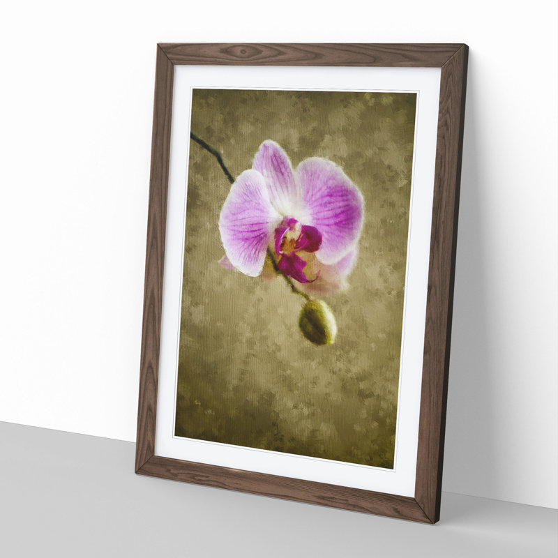 Orchid Flowers Vol.6 - Framed Print, 65cm H x 48cm W x 2cm D, Walnut Framed