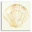 «Coastal Breeze Shell Sketches 5» par Anne Tavoletti, art mural en verre acrylique-721250516