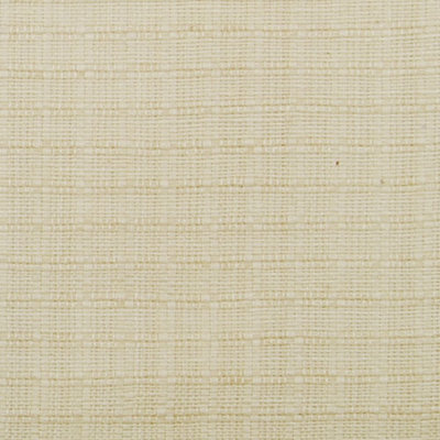Dylan Sheers and Casements Print Fabric