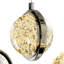4 in LED Integrated Polished Nickel Pendant