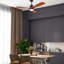 Carolee Ceiling Fan with LED Lights