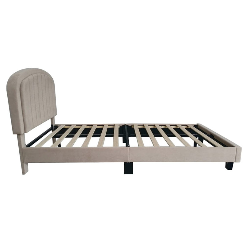 Aleighana Upholstered Bed Plush Bed Frame with Head Board, Double (137.5 cm x 205cm), Champagne
