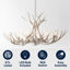 Lustre Rohrbach-1665339192-1665339193