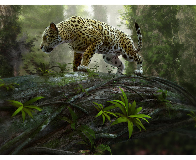 Jaguar on the Hunt 3.5m x 250cm 7 Piece Wallpaper Panel Paloma