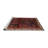 Oriental Indoor Rug-845996684