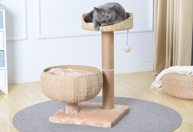 In-Stock Cat Trees