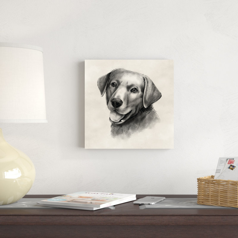 Charbon Labrador II, H 12 po x l 12 po