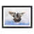 Black Framed selected