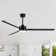 Chaffins Large Matte Black Indoor/Covered Outdoor Ceiling Fan with Light and Remote, 3 Aluminum Blades, 6-Speed Quiet DC Motor, LED Tri-Color Temperature, Memory Function, Timer, 6''/12'' Downrods