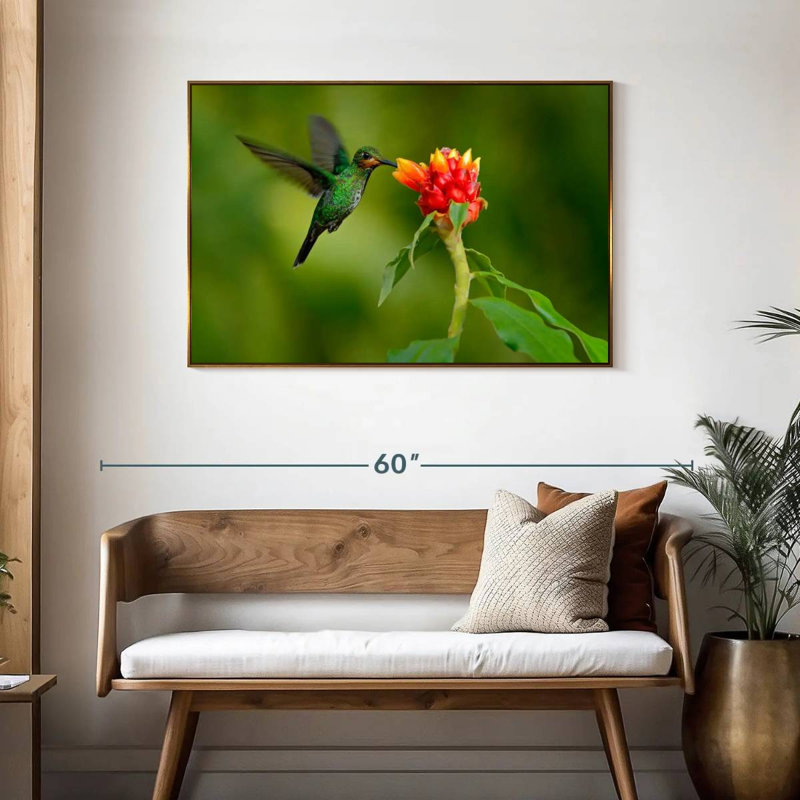 Fleur et colibri vert, Cadre flottant doré, 43 po x 29 po
