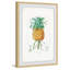 Botanical Pineapple - Single Picture Frame Print-146732869
