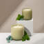 Wild Honeysuckle Classic Candle-1389704483