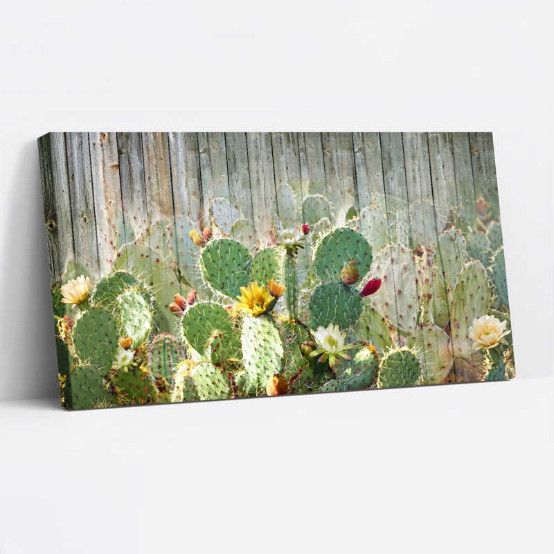 Fleurs de cactus, reproduction d'art sur toile, ensemble de 1, Wrapped Canvas, L 40 po x H 20 po