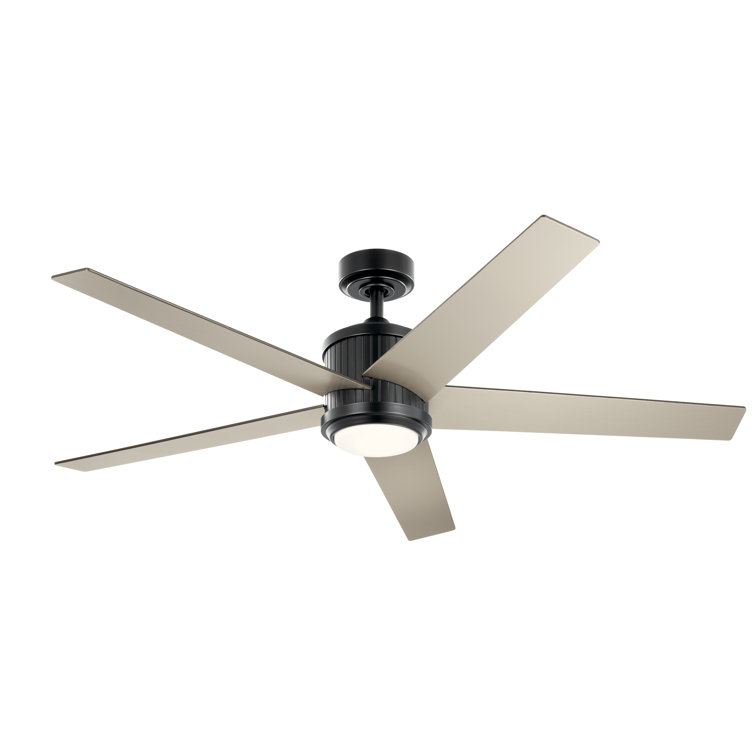Keohane 56'' Ceiling Fan with LED Lights