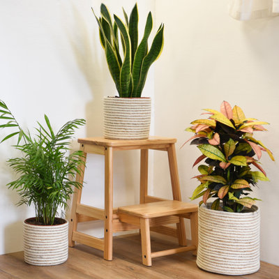 Indoor Planter Basket Natural Seagrass Three Set - 25cm, 20cm & 17cm Diameter