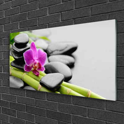 Art Bamboo Tube Flower Stones 1 Piece Wall Art on Glass
