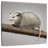 Brampt Snarky Opossum