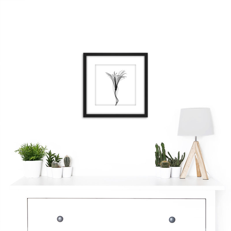 Schwartz NJIT Flower Greyscale X-Ray Transparent - Single Picture Frame Painting