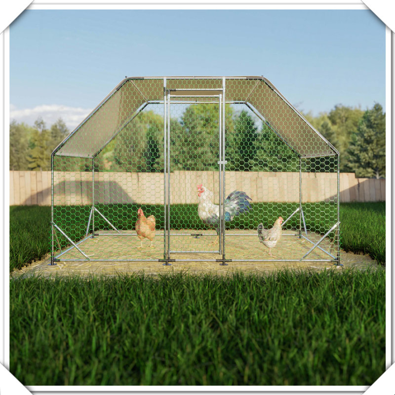 Grande cage imperméable en métal pour poulailler, H 76,32 po x l 119,28 po x P 77,52 po
