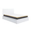 Marqita Double (4'6) Ottoman Bed-87148069-87148070