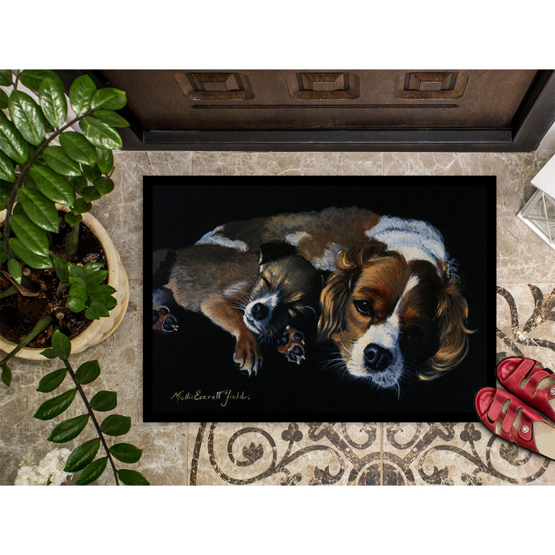 Non-Slip Outdoor Doormat, 2' x 3'