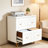 Multi-Functional File Cabinet,Nordic Style Storage Filing Cabinet