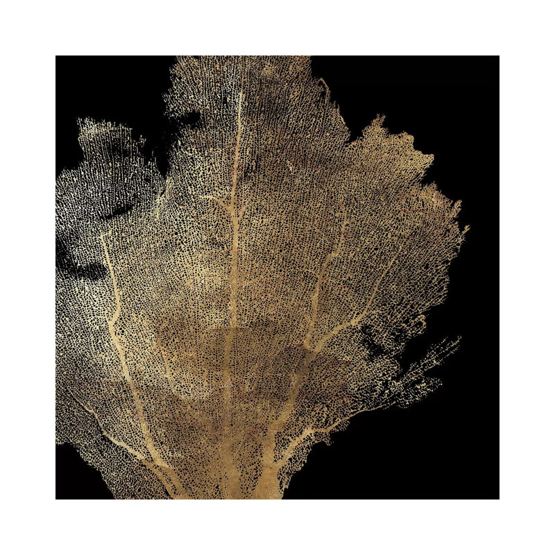 Honeycomb Coral I by Aimee Wilson - Wrapped Canvas Print, 45.72 cm H x 45.72 cm W x 1.91 cm D