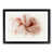 Black Framed selected