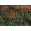 Tapis de salon moderne à imprimé nature 5 x 9