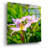 " Flower I " by Epic Portfolio-16290756