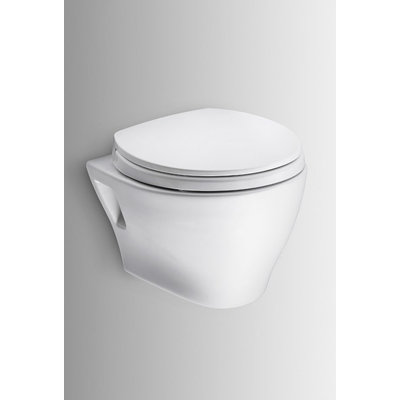 Aquia® IV Dual-Flush Elongated Wall Mounted (Seat Included)