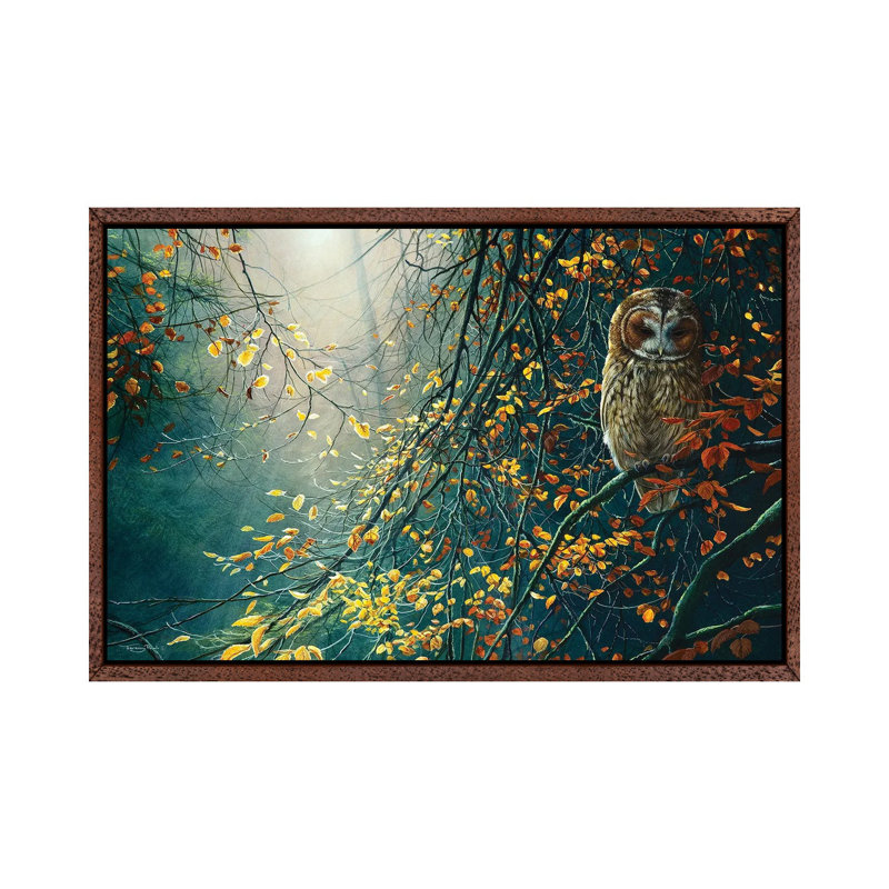 Tawny Owl by Jeremy Paul - Print on Canvas, Classic Brown Wood Framed, 101.6 cm H x 66.04 cm W