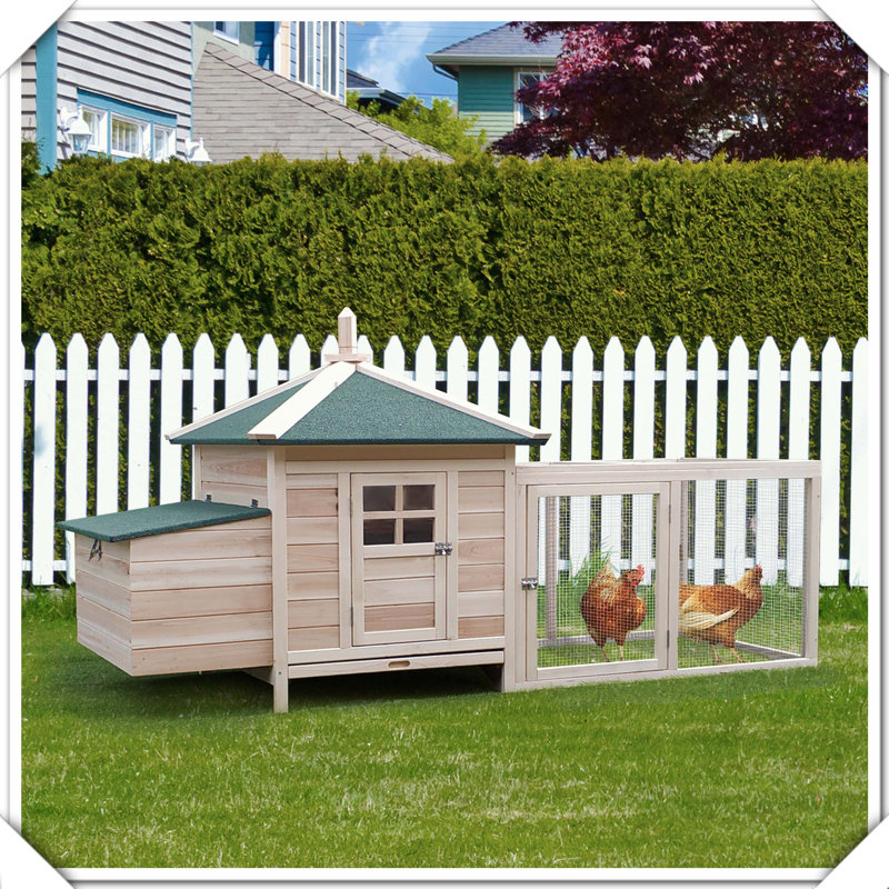 Cage à poules en bois, Bois naturel