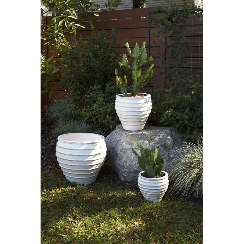 Ceramic Pot Planter