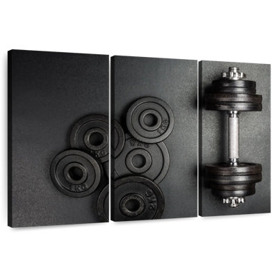 Sireci Weights On Gym Floor