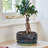 Kalup Pair of Round Reactive Glaze Bonsai Planter with Saucer-714009947