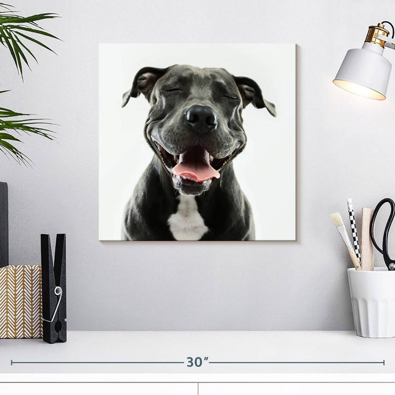 Brampt Smiling Black Pitbull, 16" H x 16" W