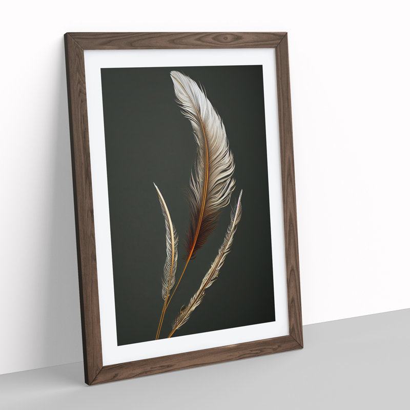 Angel Feathers - Wall Art, 34cm H x 25cm W, Walnut Framed